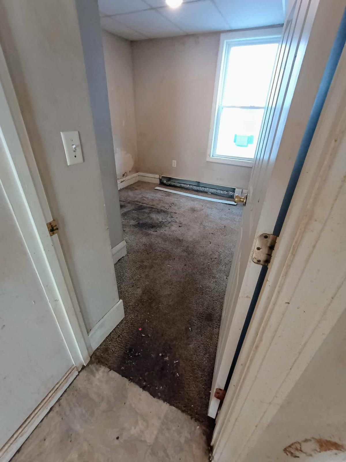 Interior painting photo 8
