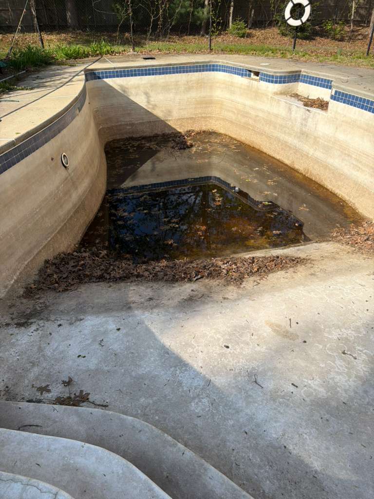 Neglected Pool Restoration before